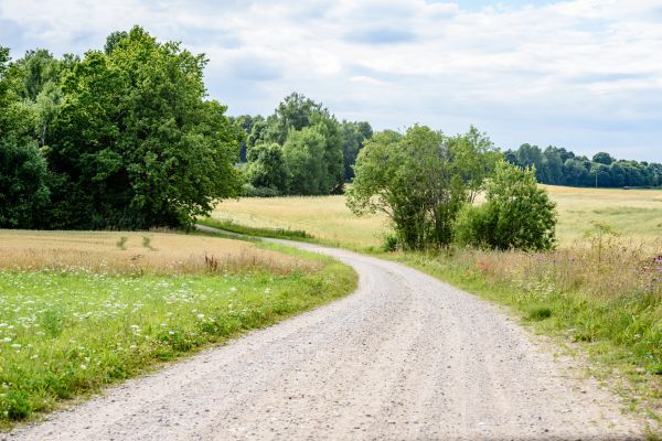 Stone Driveway Repair in Portland