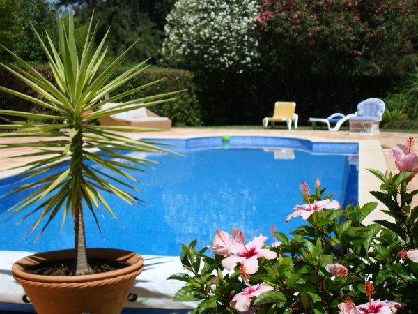 Pool Terrace Renovation in Portland